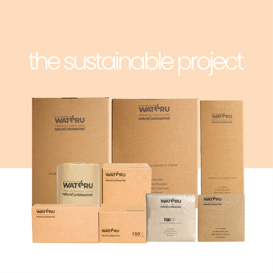 The Sustainable Project with Wateru