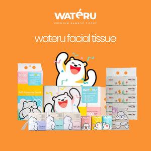 Wateru Facial Tissue 100s (50 packs)