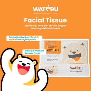 Wateru Facial Tissue 100s (2 packs)