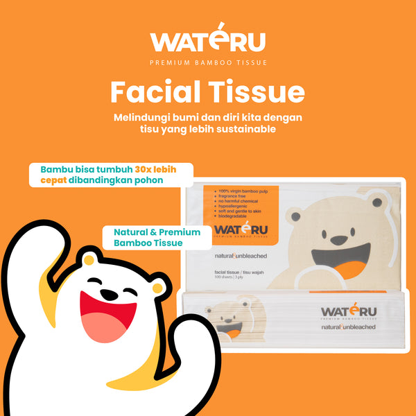 Wateru Facial Tissue 100s (2 packs)
