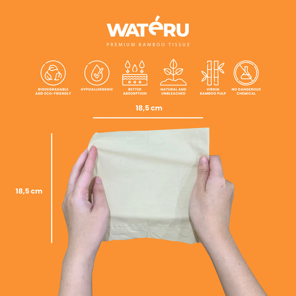 Wateru Facial Tissue 100s (2 packs)