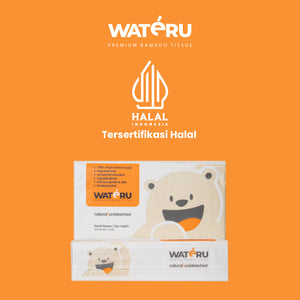 Wateru Facial Tissue 100s (2 packs)