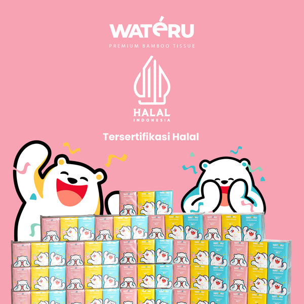 Wateru Pocket Facial Tissue (3 packs)