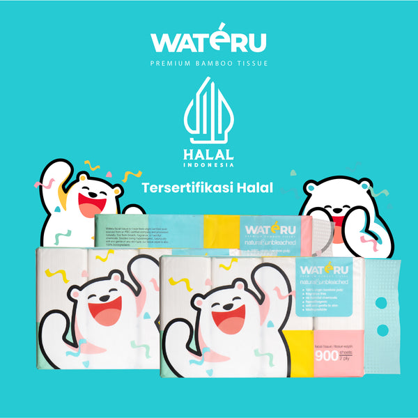 Wateru Facial Tissue 900s