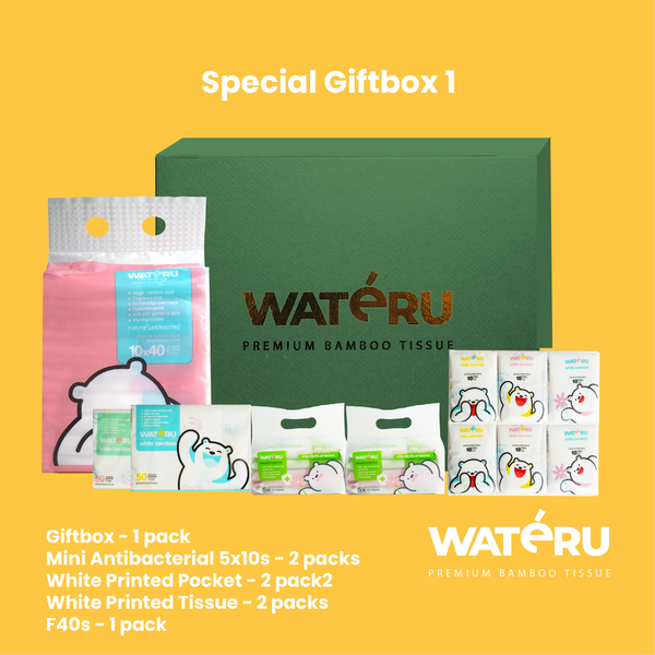 Special Giftbox 1 (2 packs Mini Antibacterial, 2 packs White Printed Pocket, 2 packs White Printed Tissue, 1 pack F40s)