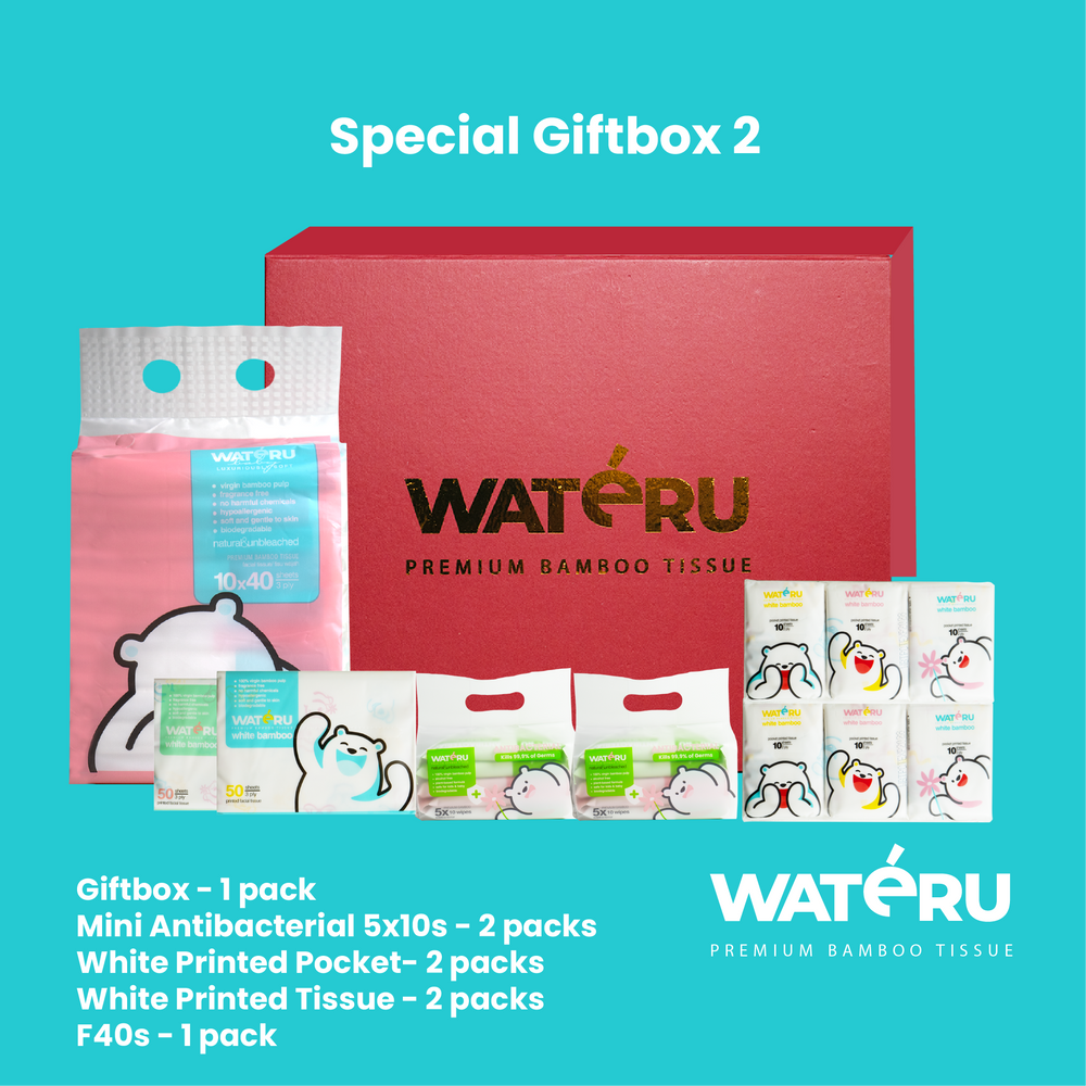 Special Giftbox 2 (2 packs Mini Antibacterial, 2 packs White Printed Pocket, 2 packs White Printed Tissue, 1 pack F40s)