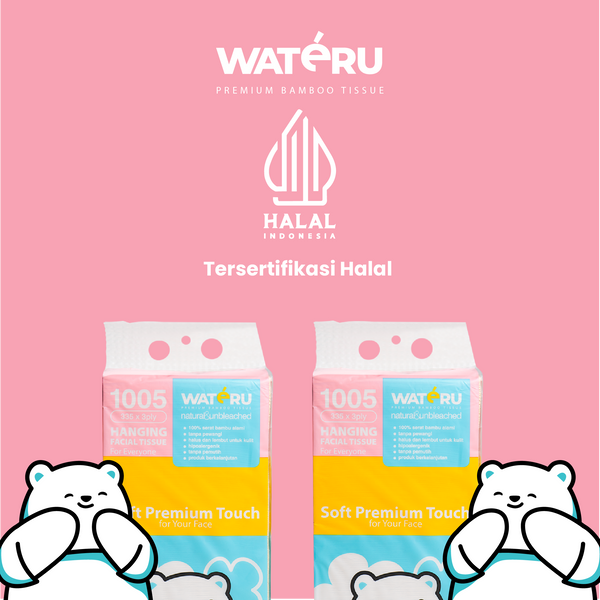 Wateru Hanging Facial Tissue (2 packs)
