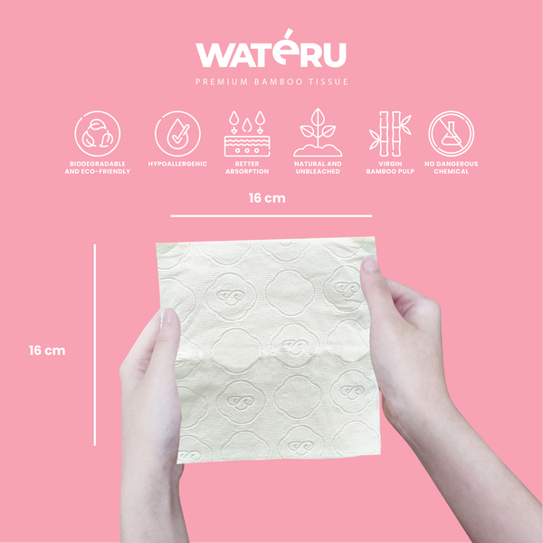 Wateru Hanging Facial Tissue (2 packs)