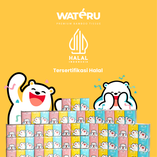 Wateru Pocket Facial Tissue (2 packs)