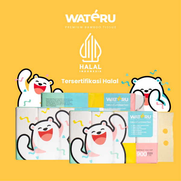 Wateru Facial Tissue 900s (2 packs)