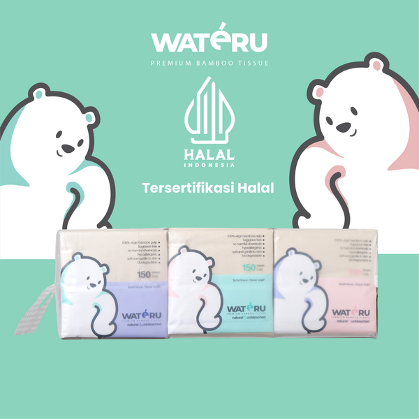 Wateru Pop Up Facial Tissue ( (2 bundling packs)