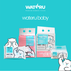 Wateru Mini Baby Wipes (2 packs)