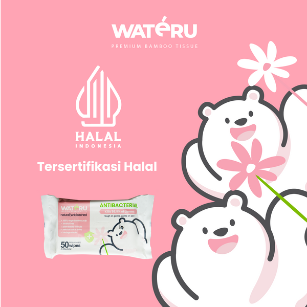 Wateru Antibacterial Wipes 50s (24 packs)