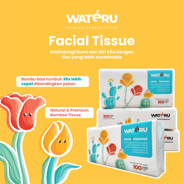 Wateru Facial Tissue 100s (50 packs)