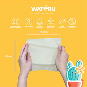Wateru Facial Tissue 100s (50 packs)