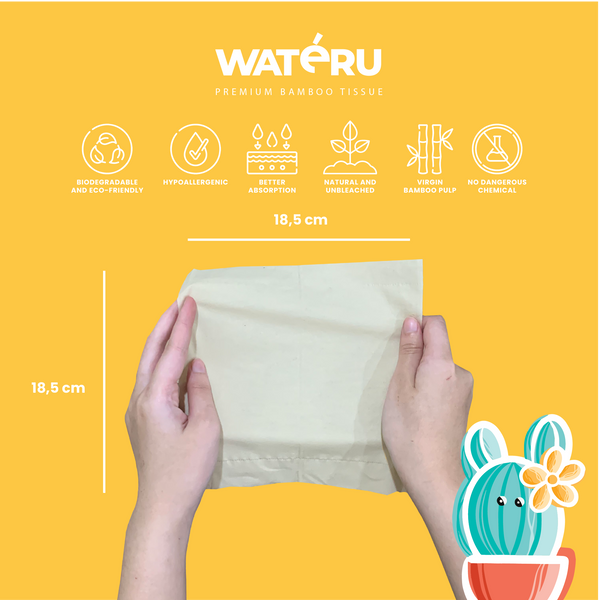 Wateru Facial Tissue 100s (50 packs)