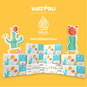 Wateru Facial Tissue 100s (50 packs)