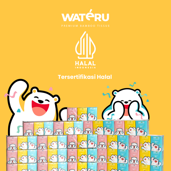 Wateru Pocket Facial Tissue (60 packs)